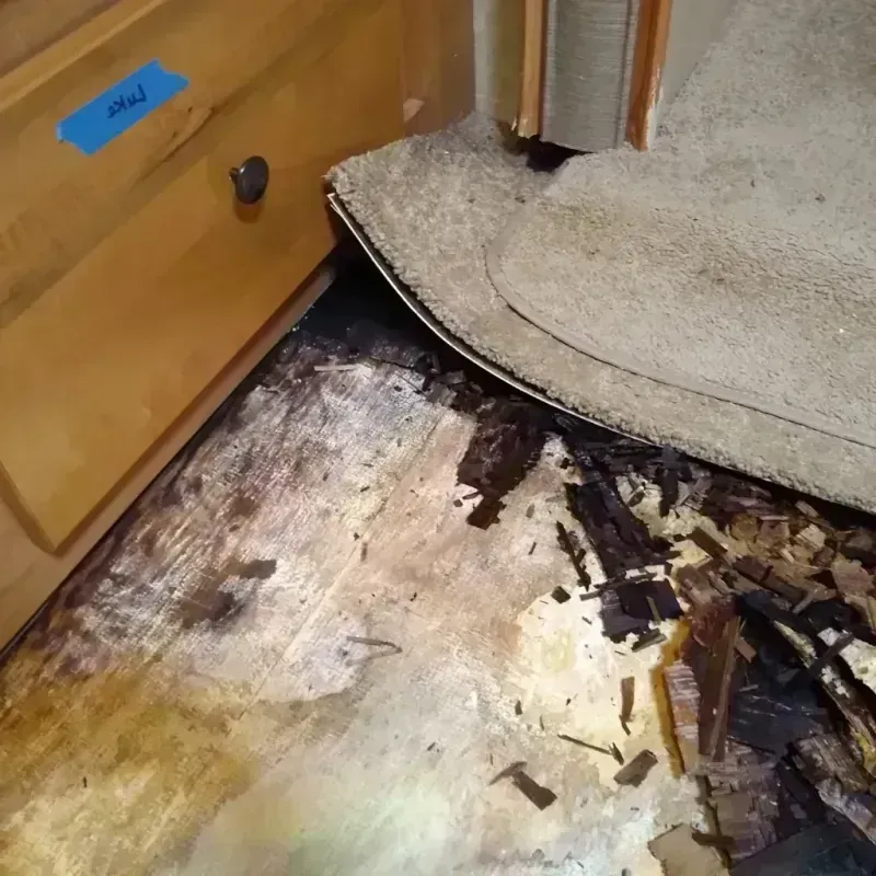 Best Wood Floor Water Damage Service in Avalon, PA